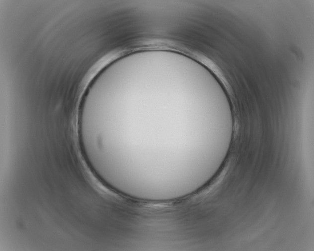 X0000113981482200910020939