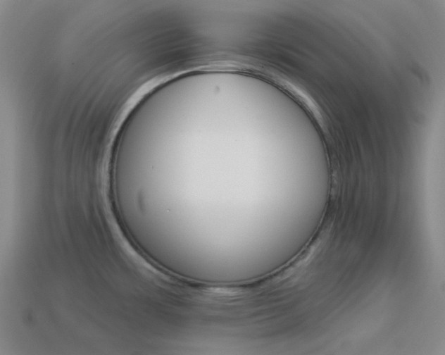 X0000113981483200910020938