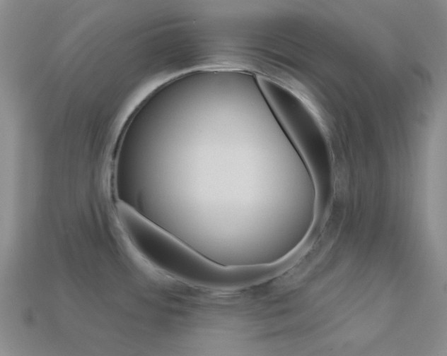 X0000113981484200910020938