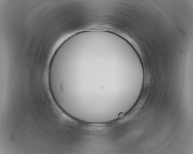 X0000113981486200910020938