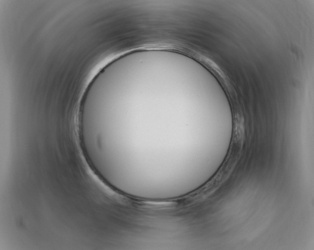 X0000113981487200910020938