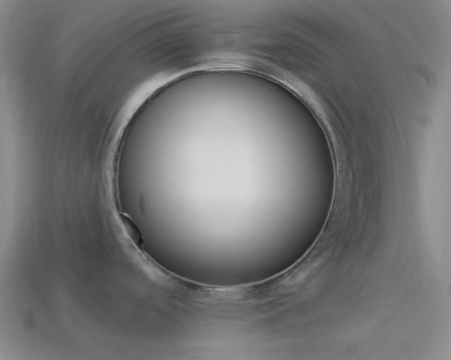 X0000113981488200910020938