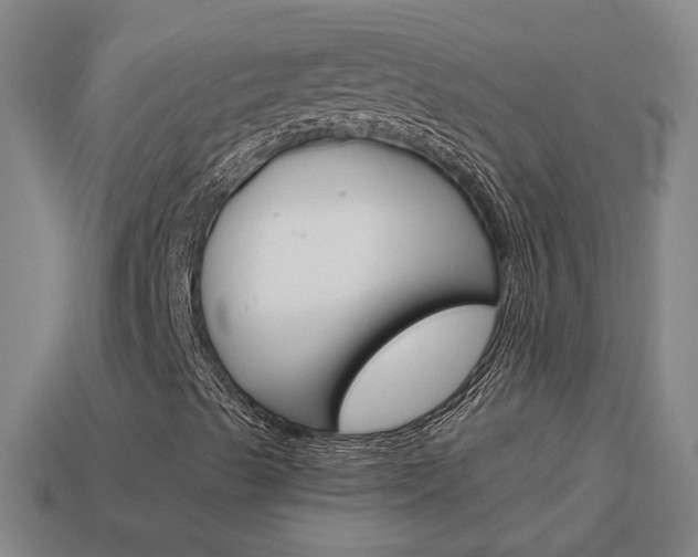 X0000113981489200910020938
