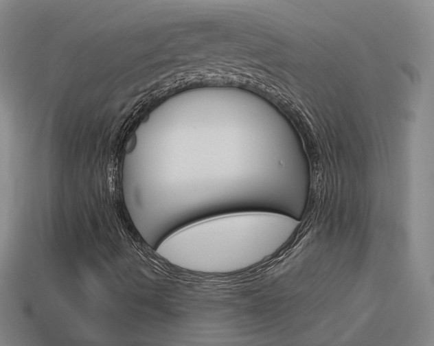 X0000113981490200910020938