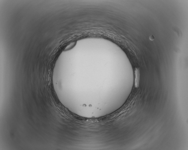 X0000113981491200910020938