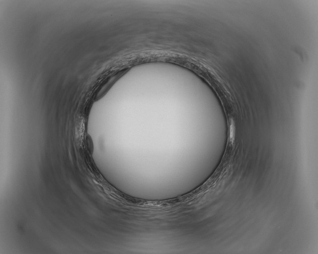 X0000113981492200910020938
