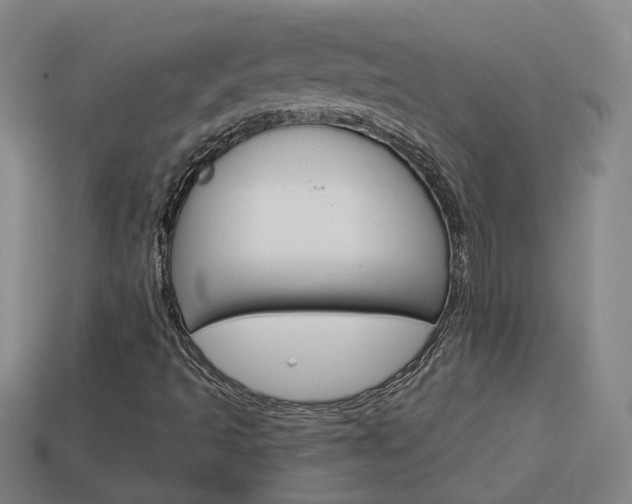 X0000113981493200910020938