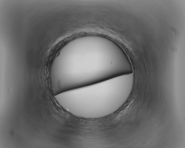 X0000113981494200910020938