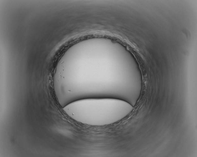 X0000113981495200910020938