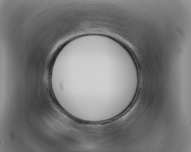 X0000113981498200910020938
