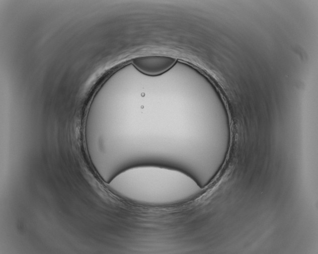 X0000113981499200910020938