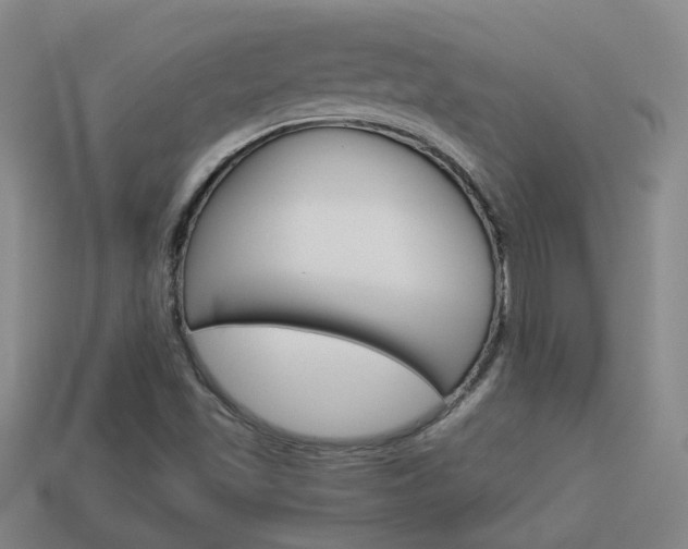 X0000113981501200910020938