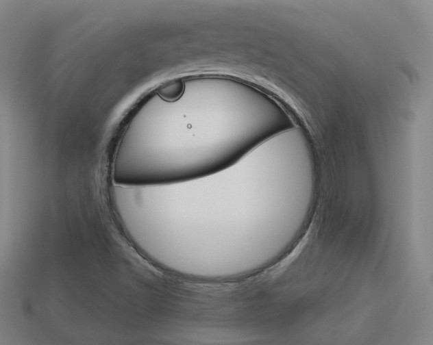X0000113981502200910020938