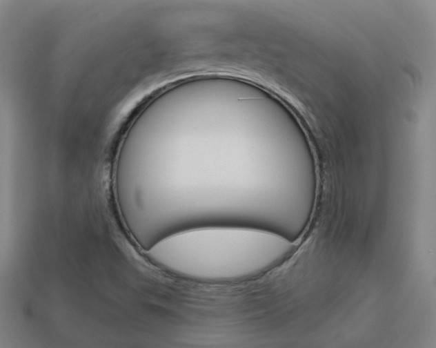 X0000113981503200910020938