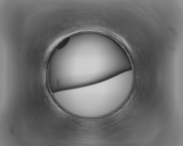 X0000113981504200910020938