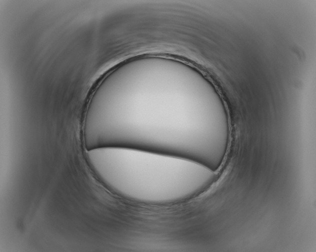 X0000113981505200910020938