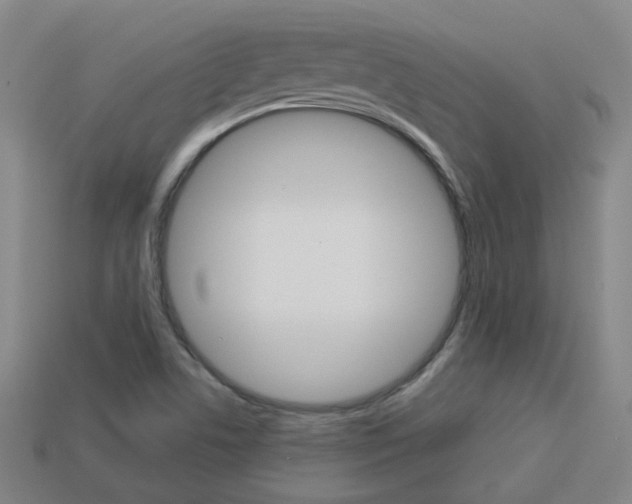 X0000113981506200910020938