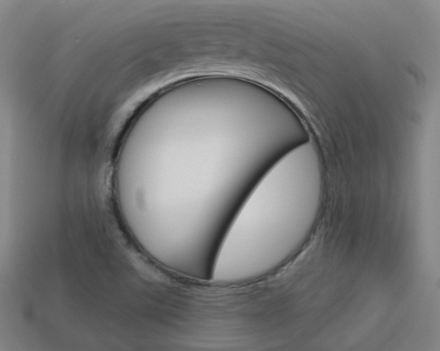 X0000113981507200910020938