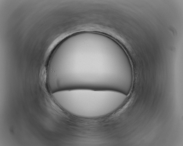 X0000113981509200910020938