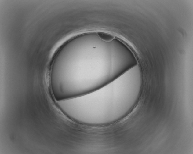 X0000113981510200910020938