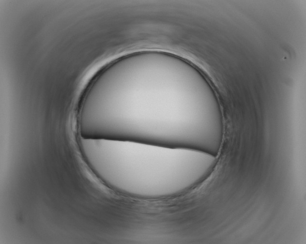 X0000113981511200910020938