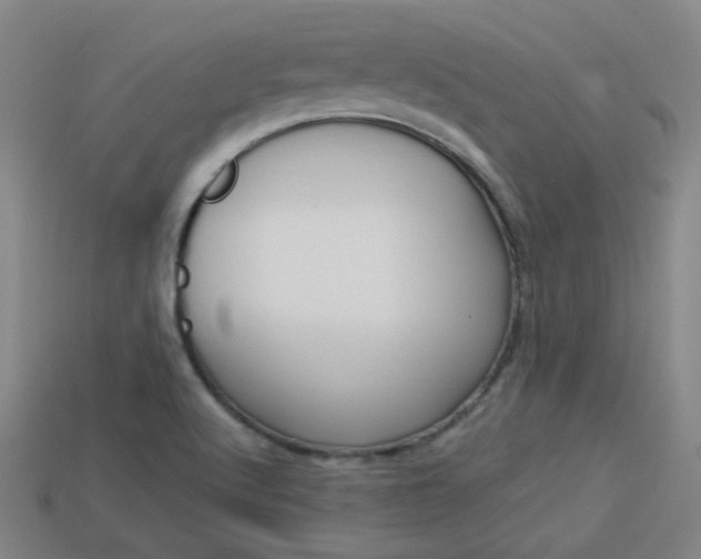 X0000113981512200910020938