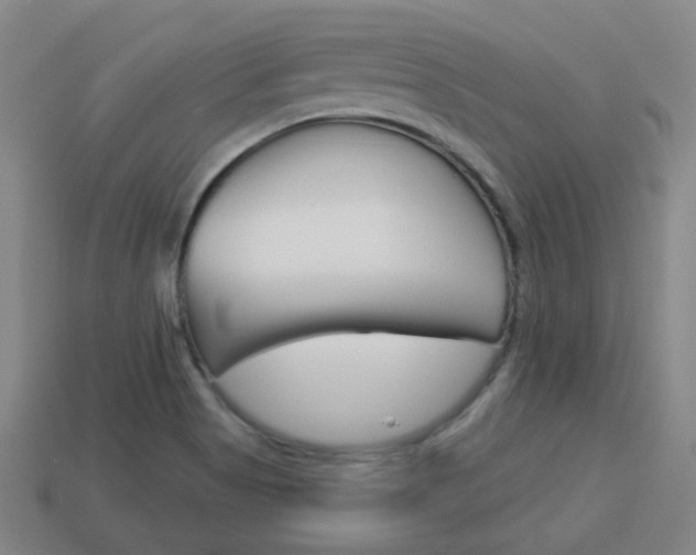 X0000113981513200910020938
