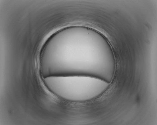 X0000113981515200910020938