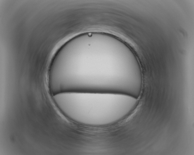 X0000113981517200910020938