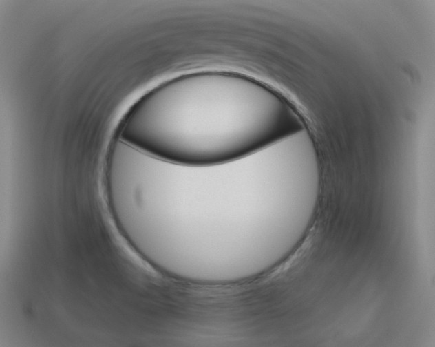 X0000113981518200910020938