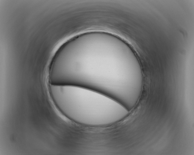 X0000113981519200910020938