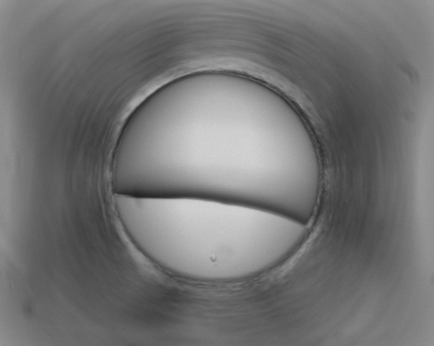 X0000113981521200910020938