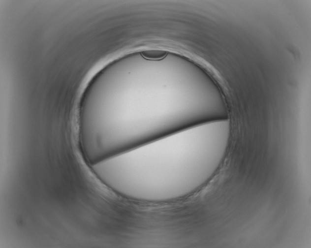 X0000113981522200910020938