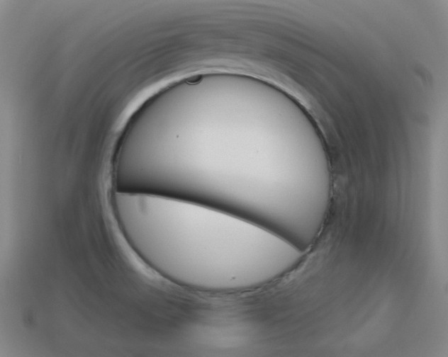 X0000113981523200910020938
