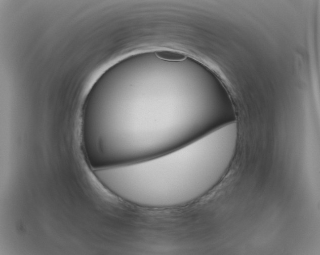 X0000113981524200910020938