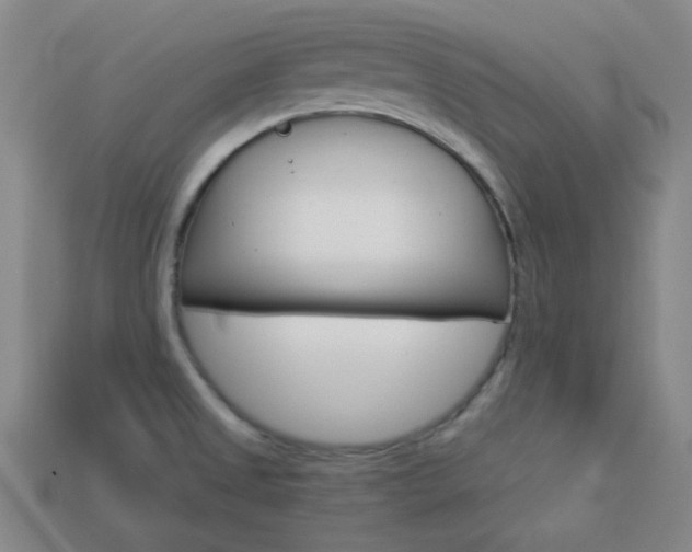 X0000113981525200910020938