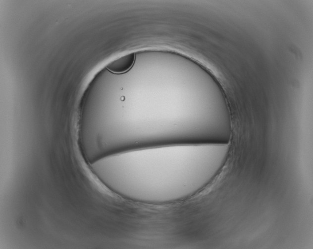 X0000113981526200910020938