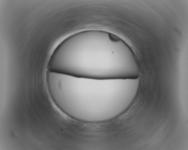 X0000113981527200910020938