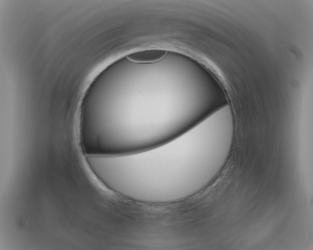 X0000113981528200910020938