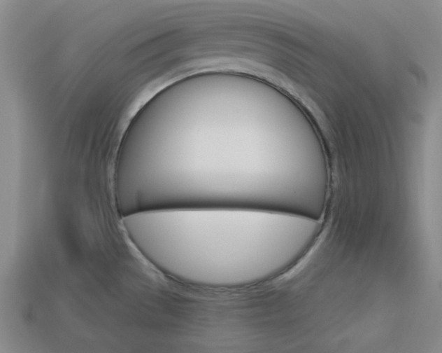 X0000113981529200910020938