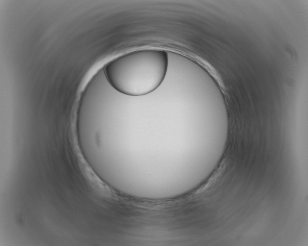 X0000113981530200910020938