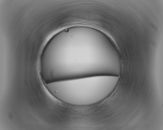 X0000113981531200910020938