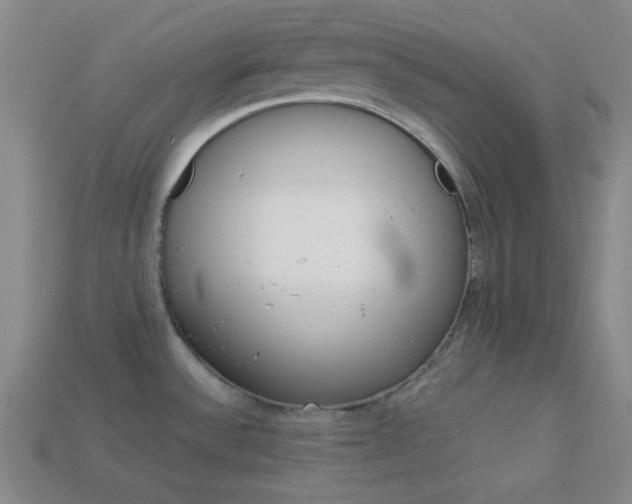 X0000113981532200910020938