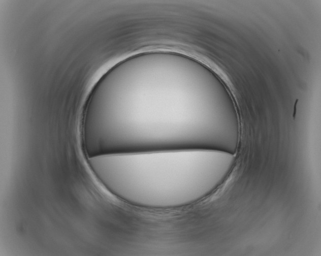 X0000113981533200910020938