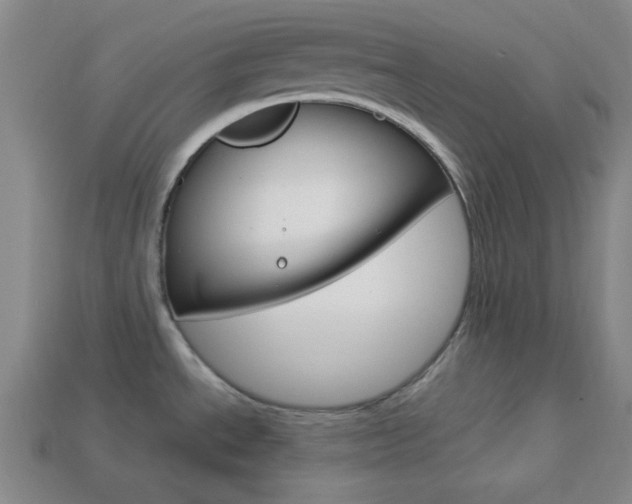 X0000113981534200910020938