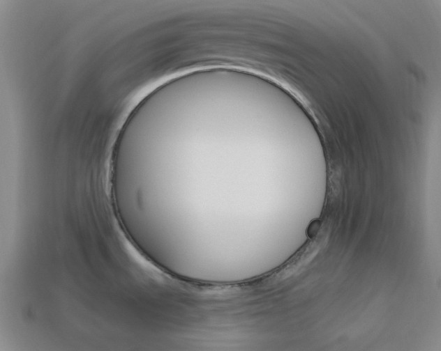 X0000113981535200910020938