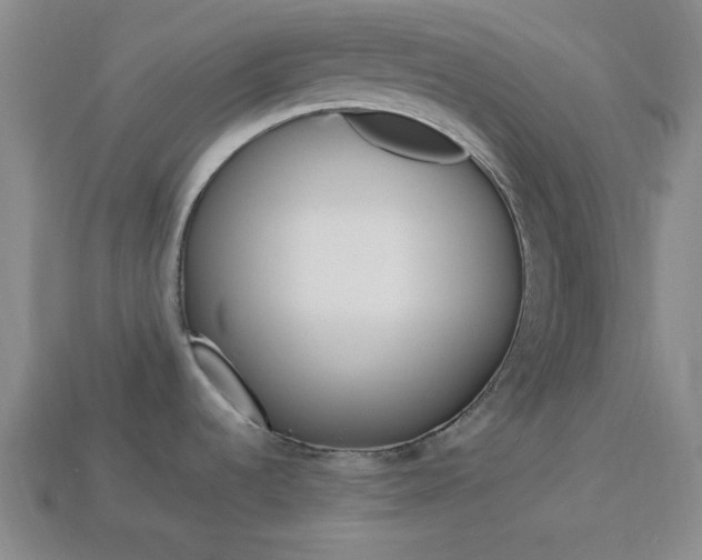 X0000113981536200910020938