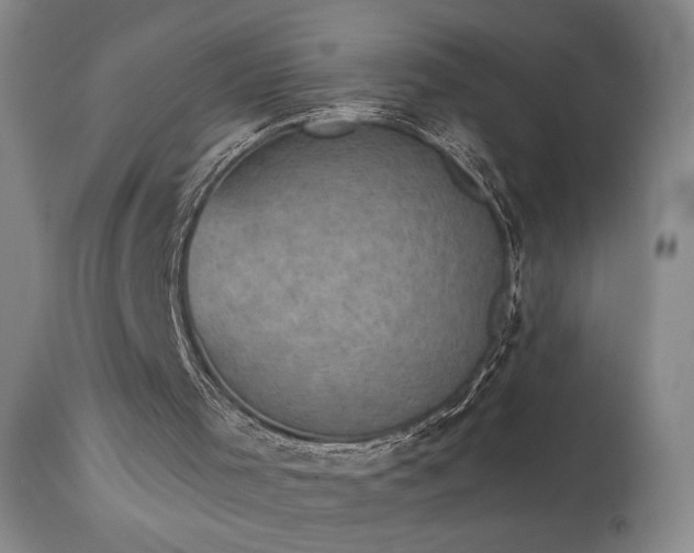 X0000113980001200910021148