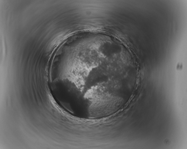 X0000113980002200910021148