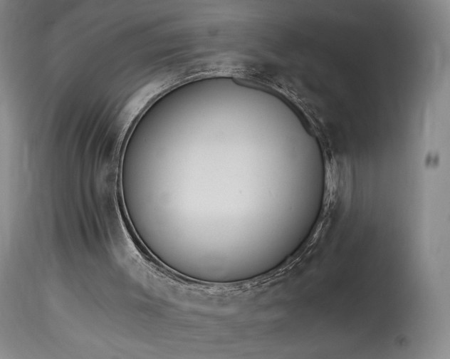 X0000113980003200910021148